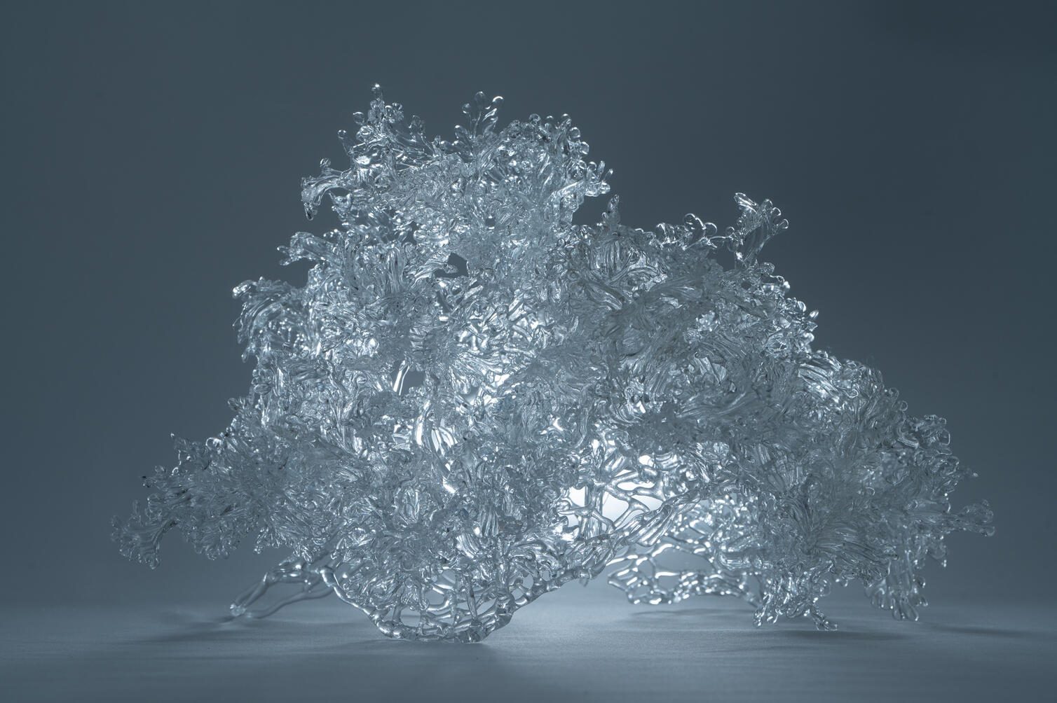 Ephemeral I - Silver