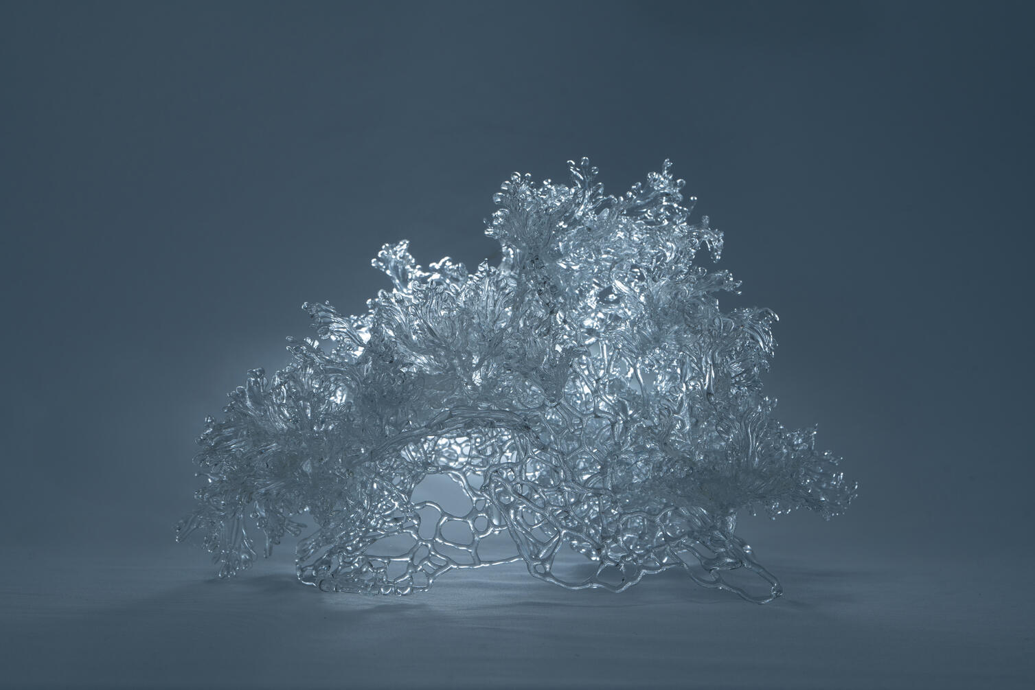 Ephemeral I - Silver